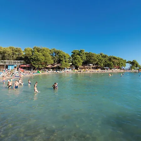 Stunning In Apartament